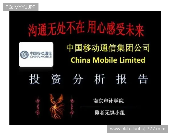 传奇电子香港有限公司：投资者关系与企业财务状况的详细分析